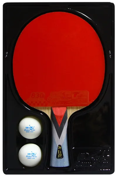 Double Fish 4A+ Bordtennisracket